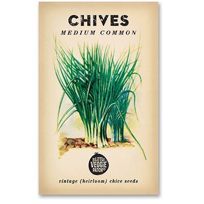 Little Veggie Patch Co Heirloom Seeds - Chives 'Medium Common'