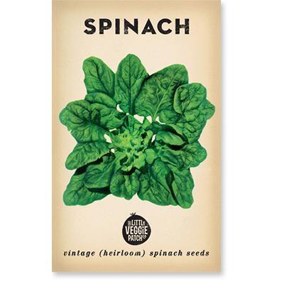 Little Veggie Patch Co Heirloom Seeds - Spinach 'Bloomsdale'